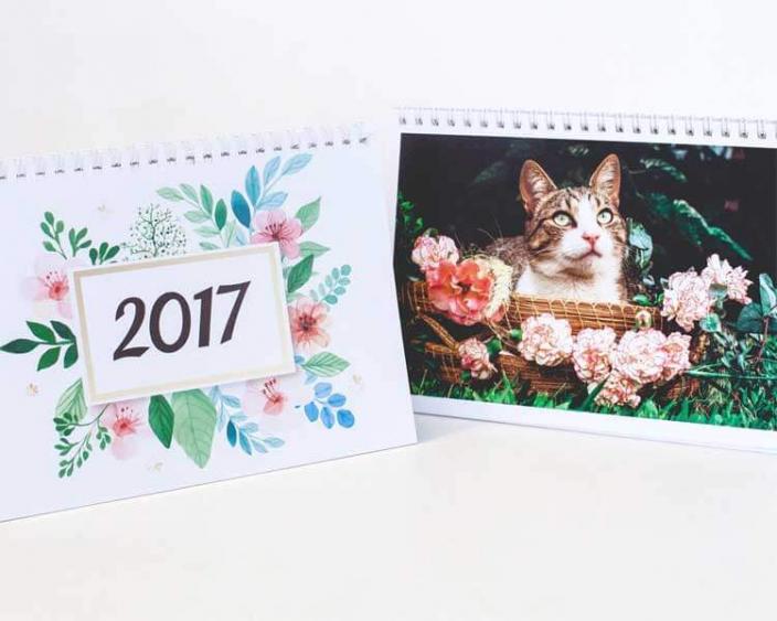 Calendário OPA Bichos compre e ajude os animais 