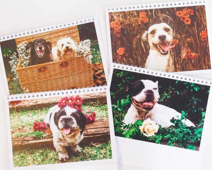 Calendário OPA Bichos compre e ajude os animais