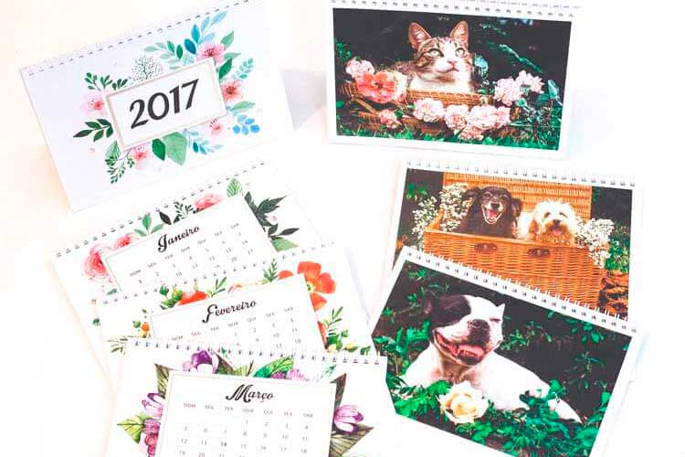 Compre o calendário da OPA Bichos e ajude animais abandonados