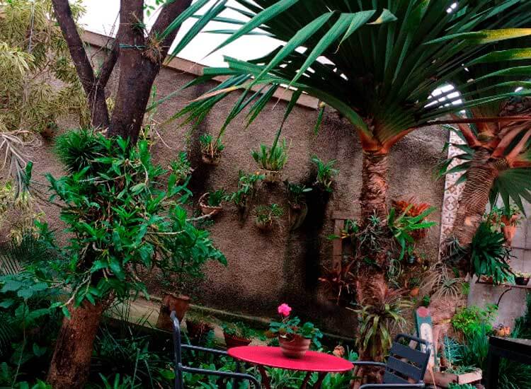 Café e plantas no Ateliê da Cerâmica