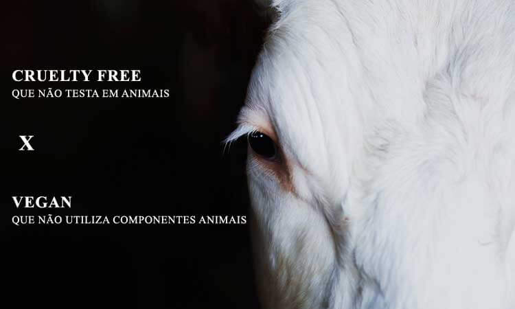 Empresas cruelty free e veganas