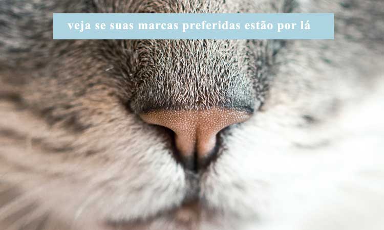 Lista de empresas nacionais que não testam em animais