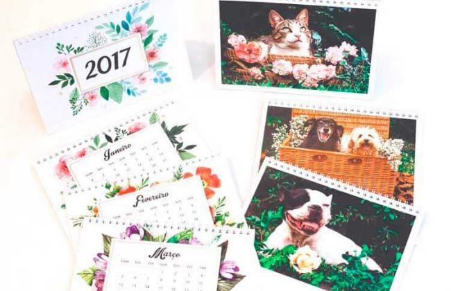 Compre o calendário da OPA Bichos e ajude animais abandonados