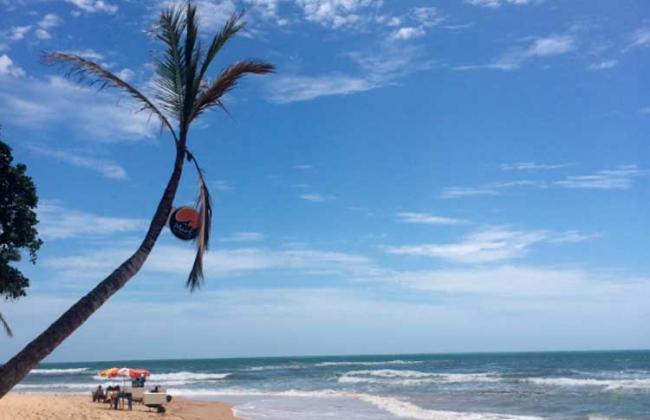 Praia de Pitinga em Arraial d'Ajuda Porto Seguro 