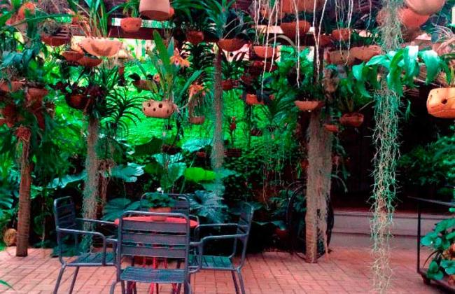 Variedade de plantas e cerâmica chama a atenção no Ateliê, em Contagem